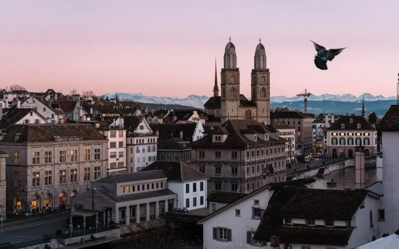 Zurich skyline at dusk with bird 